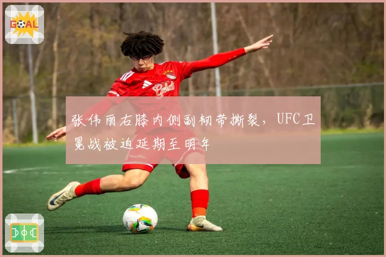 张伟丽右膝内侧副韧带撕裂，UFC卫冕战被迫延期至明年