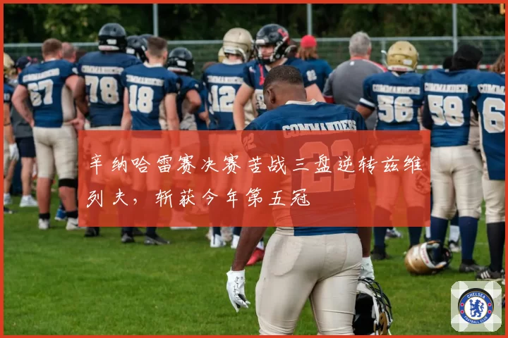 辛纳哈雷赛决赛苦战三盘逆转兹维列夫,斩获今年第五冠