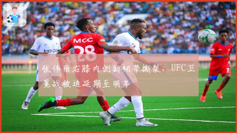 张伟丽右膝内侧副韧带撕裂，UFC卫冕战被迫延期至明年